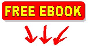 Free ecommerce book.